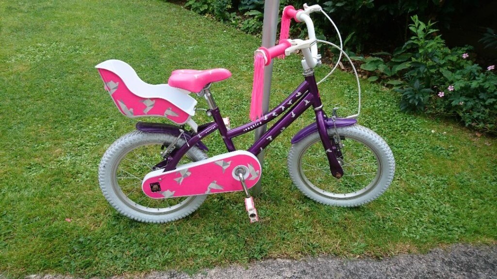 raleigh songbird bike